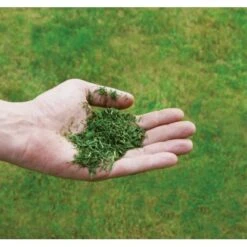 Einhell Benzin-Rasenmäher GC-PM 51/3 S HW-E -Gartengeräte Geschäft 171 340487 2171 8073710 08