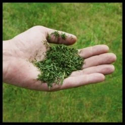 Einhell Power X-Change Akku-Rasenmäher GE-CM 36/48 Li M-Solo -Gartengeräte Geschäft 4006825660654 2171 07 1