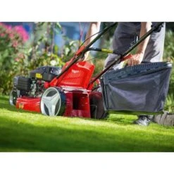 Trike-Rasenmäher B 51/TMA 60 L Fangkorb 2.900 W -Gartengeräte Geschäft 4048122036251 A06 071118