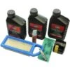 Wartungs-Kit Briggs & Stratton 1 Wartungs-Kit Briggs & Stratton -Gartengeräte Geschäft 551565 1159 1