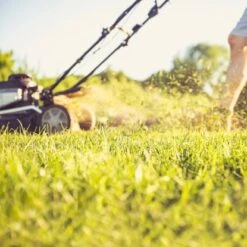 Aspen 4-Takt-Gemisch Sonderkraftstoff 25 L -Gartengeräte Geschäft 7330045970055 3467 A 03