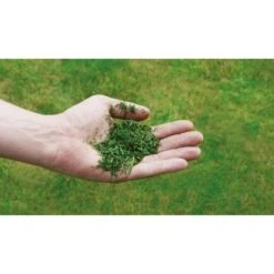 Einhell Benzin-Rasenmäher GC-PM 52/2 S HW 19 Einhell Benzin-Rasenmäher GC-PM 52/2 S HW -Gartengeräte Geschäft 807319 2171 340485 2171 08